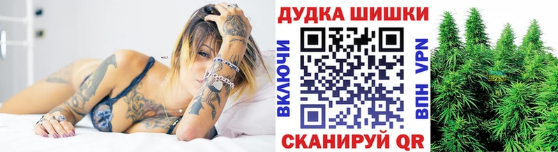 закладка  Дальнегорск  Бошки Шишки ГИДРОПОН 